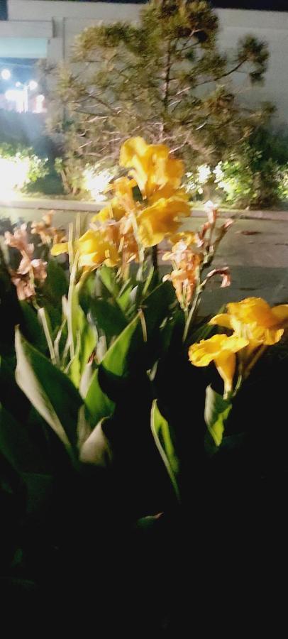קרמסטי Azalea Garden Apartment With Mountain View מראה חיצוני תמונה
