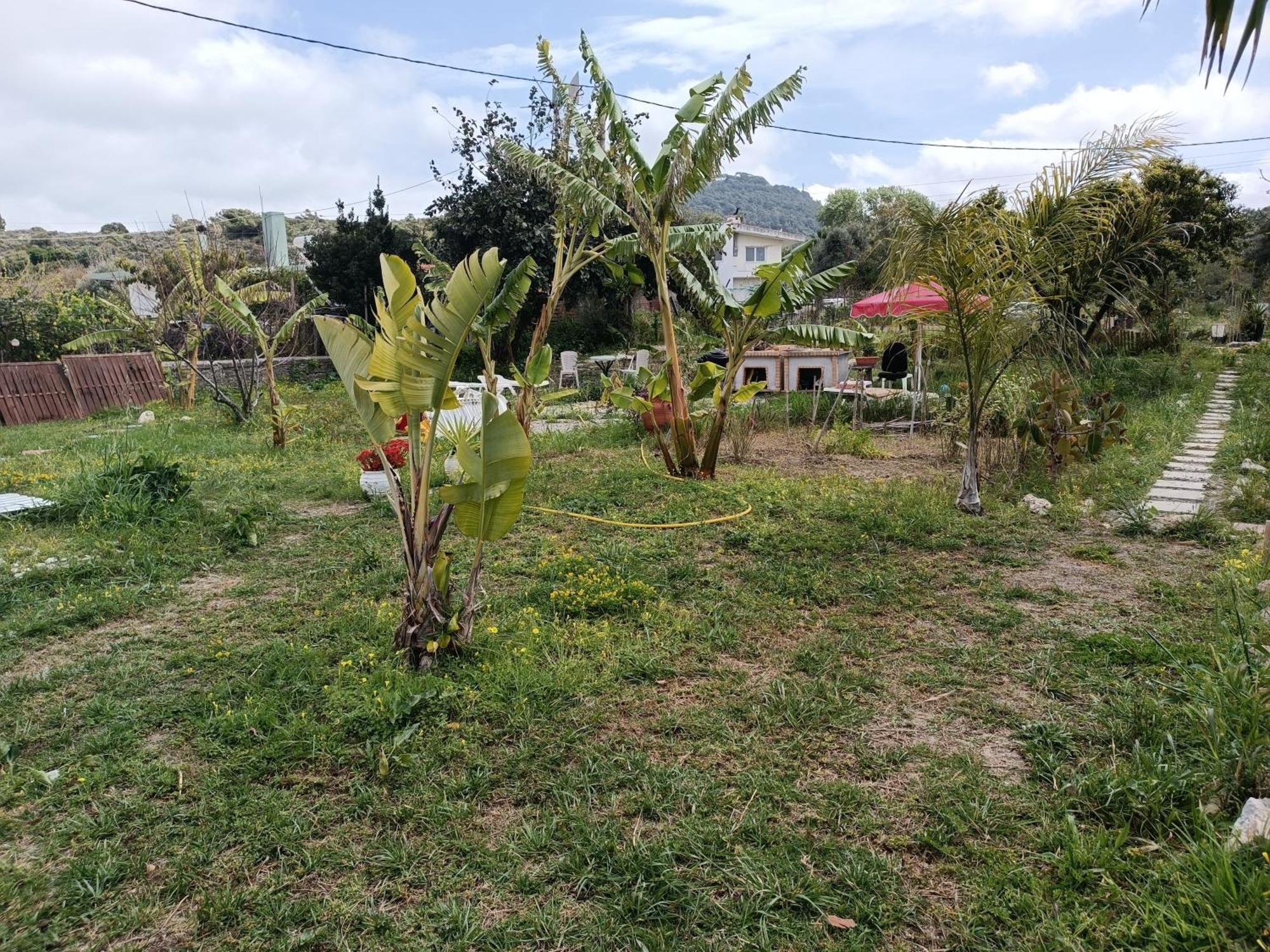 קרמסטי Azalea Garden Apartment With Mountain View מראה חיצוני תמונה